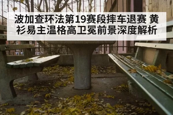 波加查环法第19赛段摔车退赛 黄衫易主温格高卫冕前景深度解析