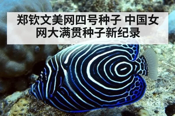 郑钦文美网四号种子 中国女网大满贯种子新纪录